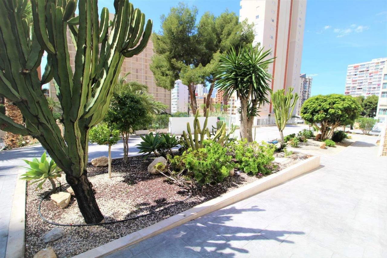 Atico Levante Torre Montecarlo Μπένιντορμ Εξωτερικό φωτογραφία